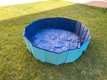 Piscina x cani