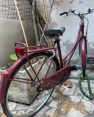 Bici Cittadina 