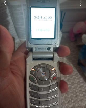 samsung sgh-z300 