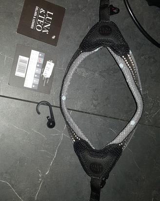 pettorina cani piccola taglia 