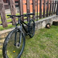 mountai bike specialized