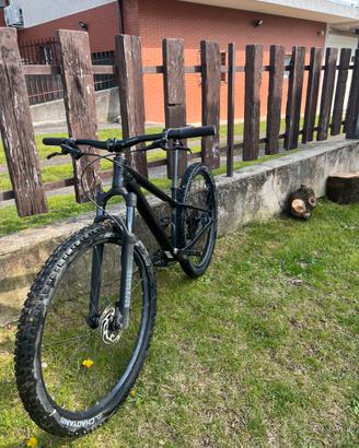 mountai bike specialized