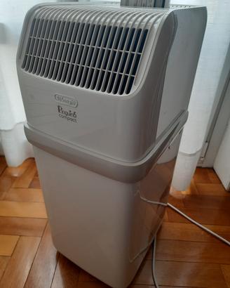 Condizionatore Pinguino compact