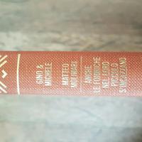 Anche le formiche nel loro piccolo si incazzano