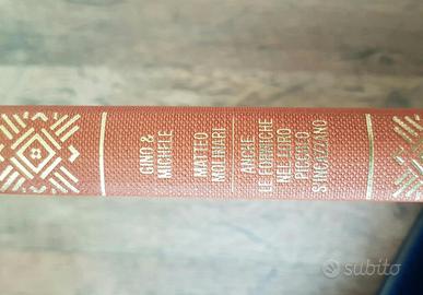 Anche le formiche nel loro piccolo si incazzano