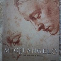 Catalogo mostra arte Michelangelo