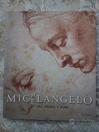 Catalogo mostra arte Michelangelo