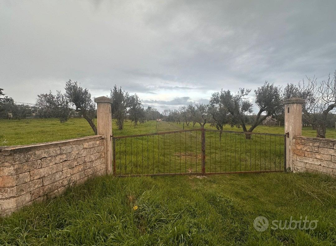 Terreno Agricolo Uliveto Seminativo Selva San Vito - Vista 4