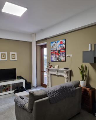Solo referenziati zona carmine app. ammob
