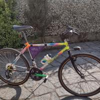Bicicletta Mountain bike