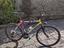 Immagine 1