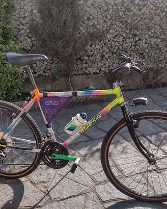 Bicicletta Mountain bike