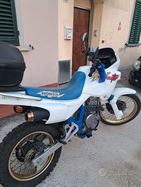 honda dominator 