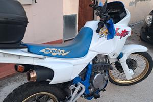 honda dominator 