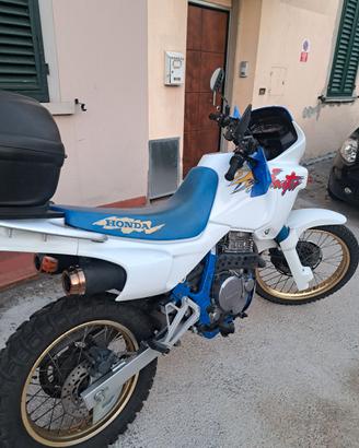 honda dominator 