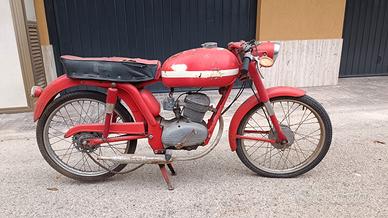 MV Agusta Altro modello - 1965