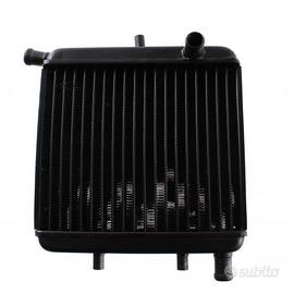 Radiatore acqua Aprilia RS Tuono AF1 AP8201476