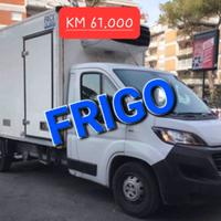 FIAT DUCATO 2.3mjt 140cv ANNO 2020 (FRC -20°)
