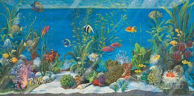 Quadro acquario tela  isabella cuccato
