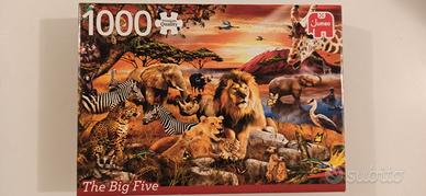 Puzzle Jumbo 1000 pz Premium Quality - Big Five