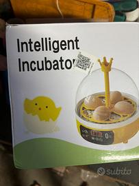 Incubatrice