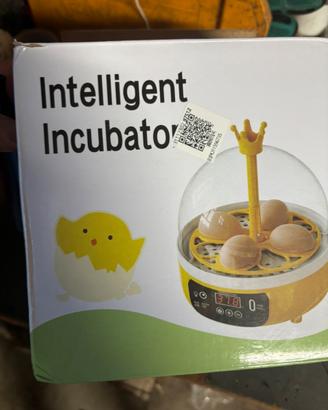 Incubatrice