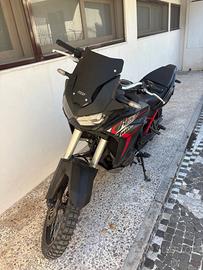 Africa twin 1100 L1