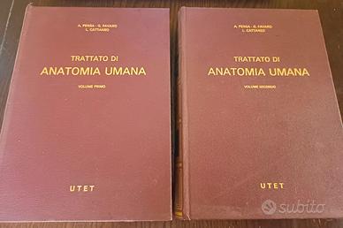 Trattato di Anatomia Umana