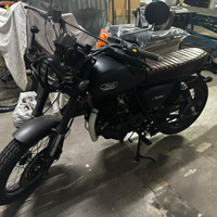 Mash two fifty 250cc anno 2024