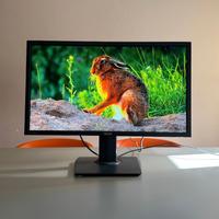 Monitor ASUS MG28UQ 28” 4K UHD pari al nuovo, usat