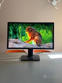 Monitor ASUS MG28UQ 28” 4K UHD pari al nuovo, usat