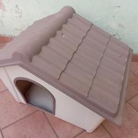 Casetta per cani
