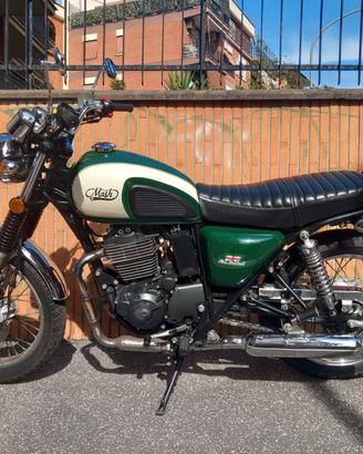 Mash Five Hundred 400 - 2019 euro 4