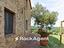 Immagine 20