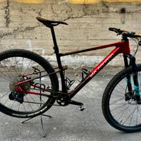 Lee Cougan Rampage innova 29