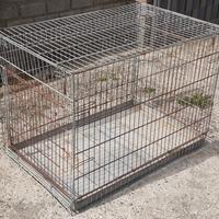 Trasportino, kennel, gabbia