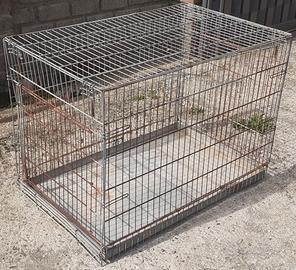 Trasportino, kennel, gabbia