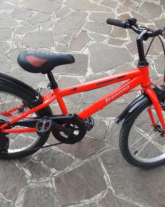 Bicicletta ruota 20 pollici