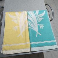 Coppia di asciugamani da bagno maxi nuovi