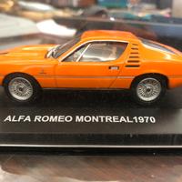 Modellino 1/43 con teca