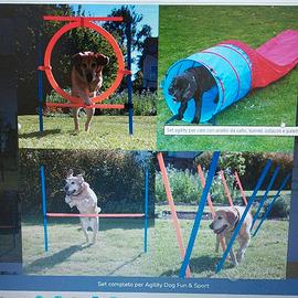 Set completo per Agility Dog Fun & Sport per cani