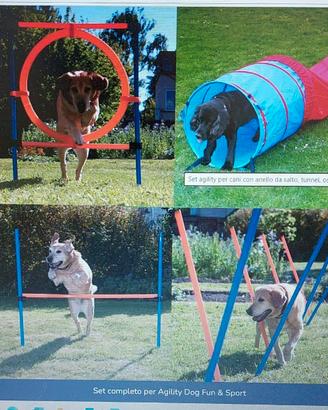 Set completo per Agility Dog Fun & Sport per cani