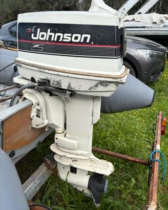 Motore fuoribordo 25cv