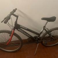 Mountain bike