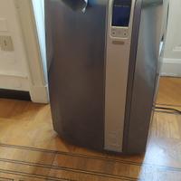 Condizionatore deumidificatore Pinguino 