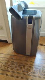 Condizionatore deumidificatore Pinguino 