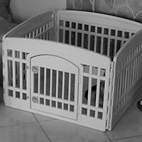 Recinto per Cani da Interno cuccioli