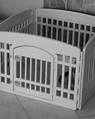 Recinto per Cani da Interno cuccioli