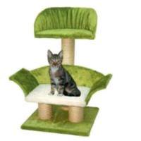 TIRAGRAFFI GATTO NUOVO DUBAI