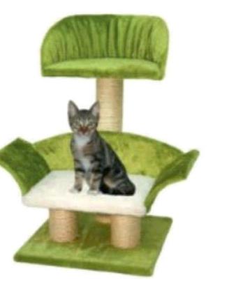 TIRAGRAFFI GATTO NUOVO DUBAI